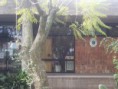 /album/asi-es-nuestro-liceo/a100-7412-jpg/